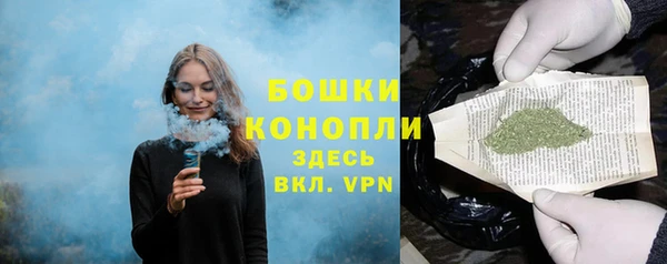 дмт Карпинск