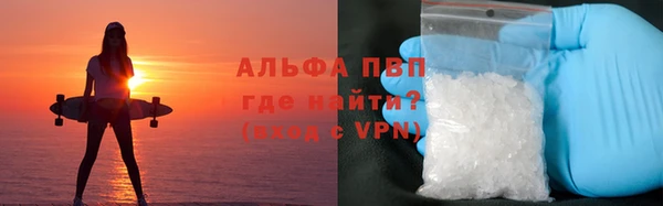 дмт Карпинск
