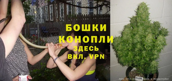 шишки Касимов
