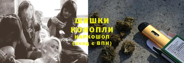 дмт Карпинск