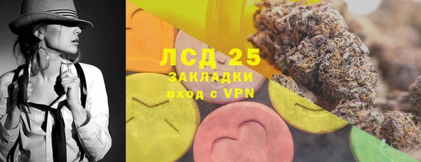 шишки Касимов