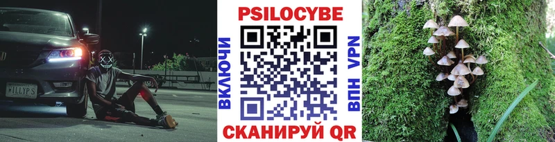 Галлюциногенные грибы Psilocybe  Купить где  Льгов 